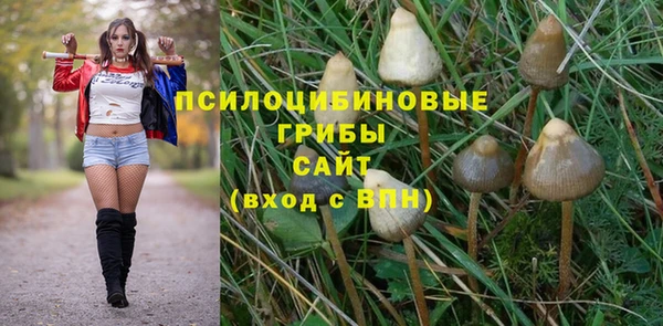 спиды Алексеевка