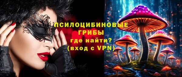 спиды Алексеевка