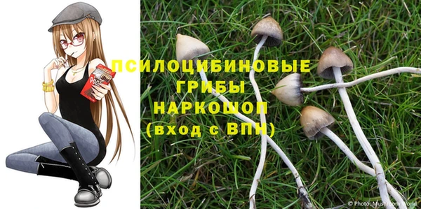 spice Алексин