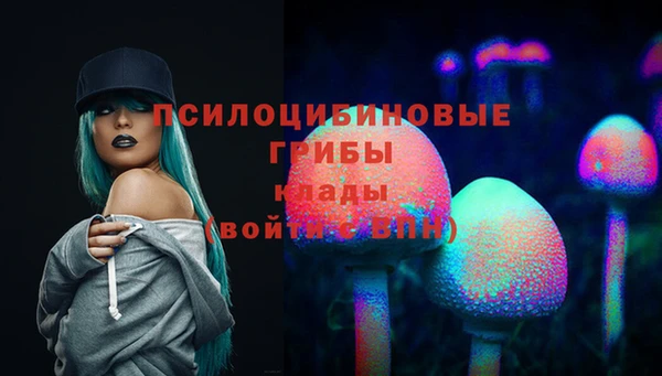 spice Алексин