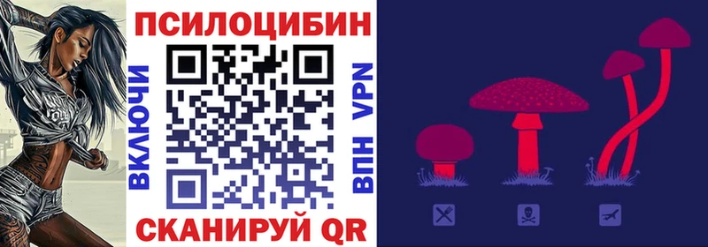 Галлюциногенные грибы Cubensis Новокузнецк