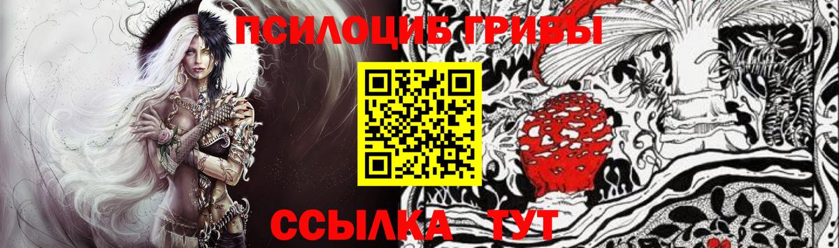 Новокузнецк  Галлюциногенные грибы мухоморы  Вход с VPN 