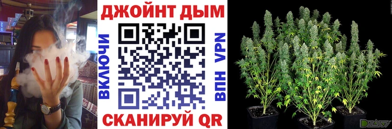 магазин продажи блэк спрут маркетплейс Каннабис сатива Новокузнецк